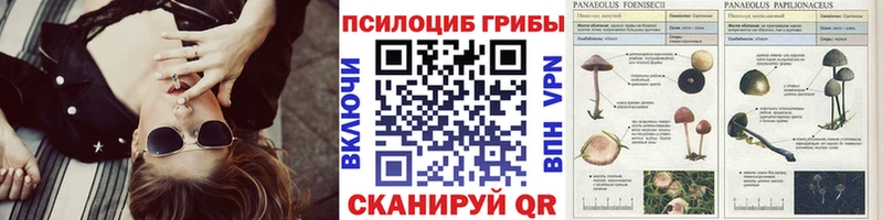 Псилоцибиновые грибы GOLDEN TEACHER  omg маркетплейс  даркнет формула  Кингисепп 